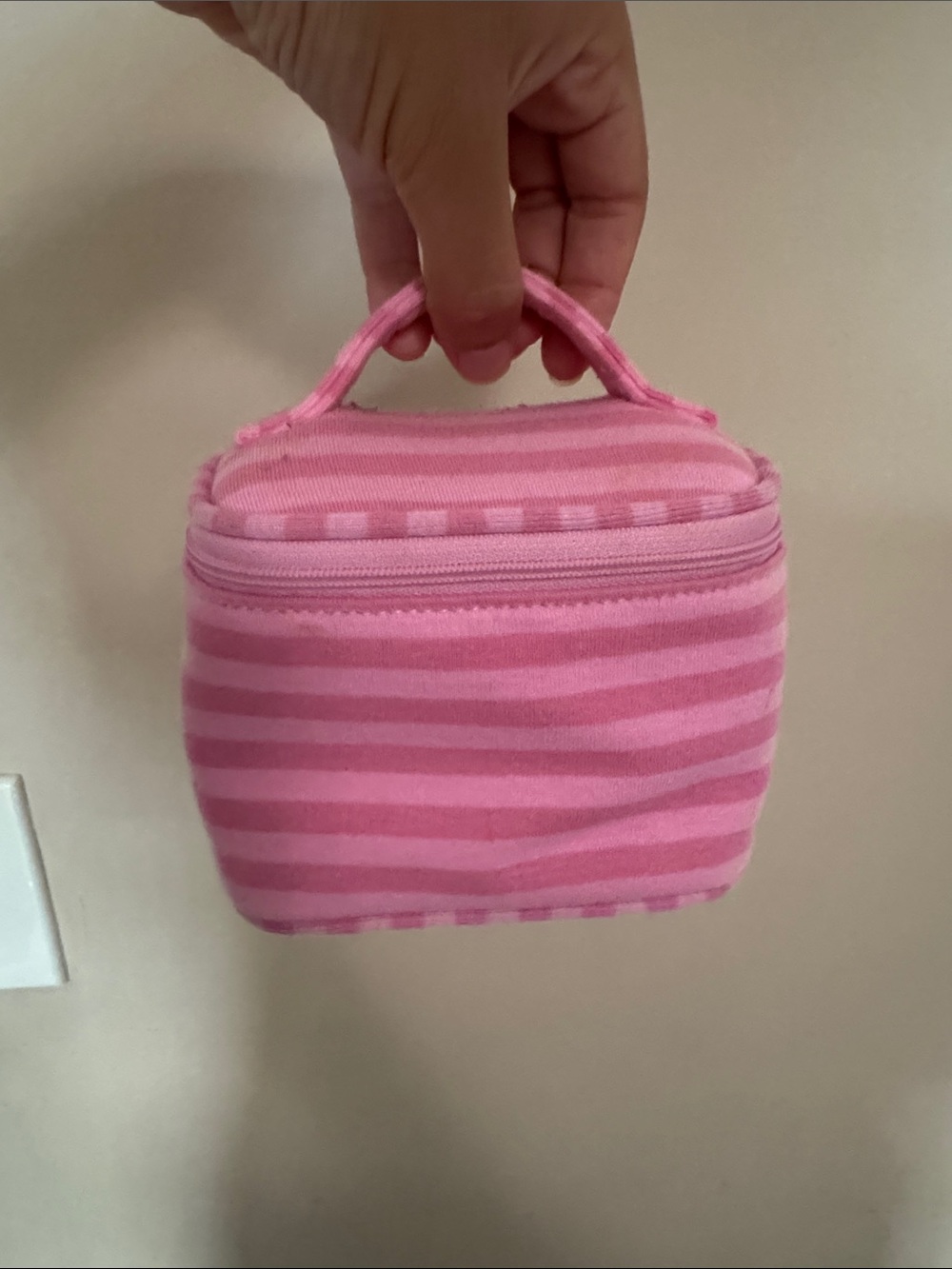 Brandy Melville Pink Striped Cosmetic Bag